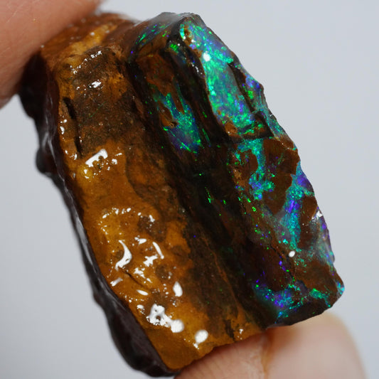 Rough Boulder Opal