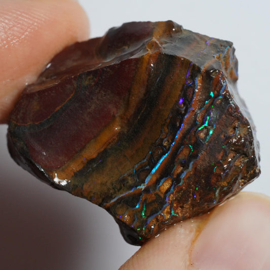 Rough Boulder Opal