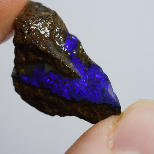 Rough Boulder Opal