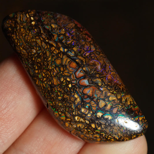 Boulder Opal Cut Stone