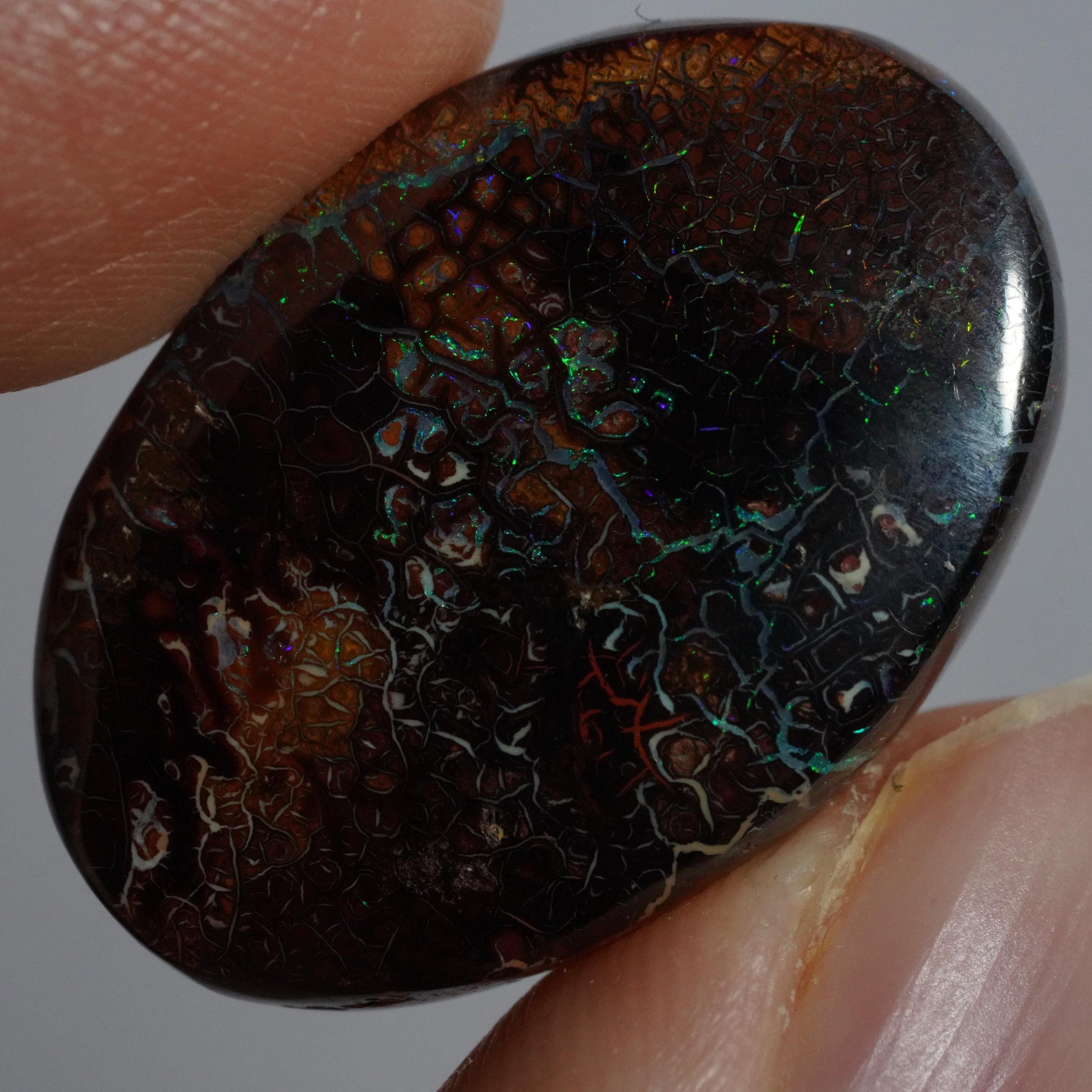 Boulder Opal Cut Stone