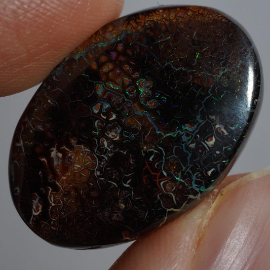 Boulder Opal Cut Stone