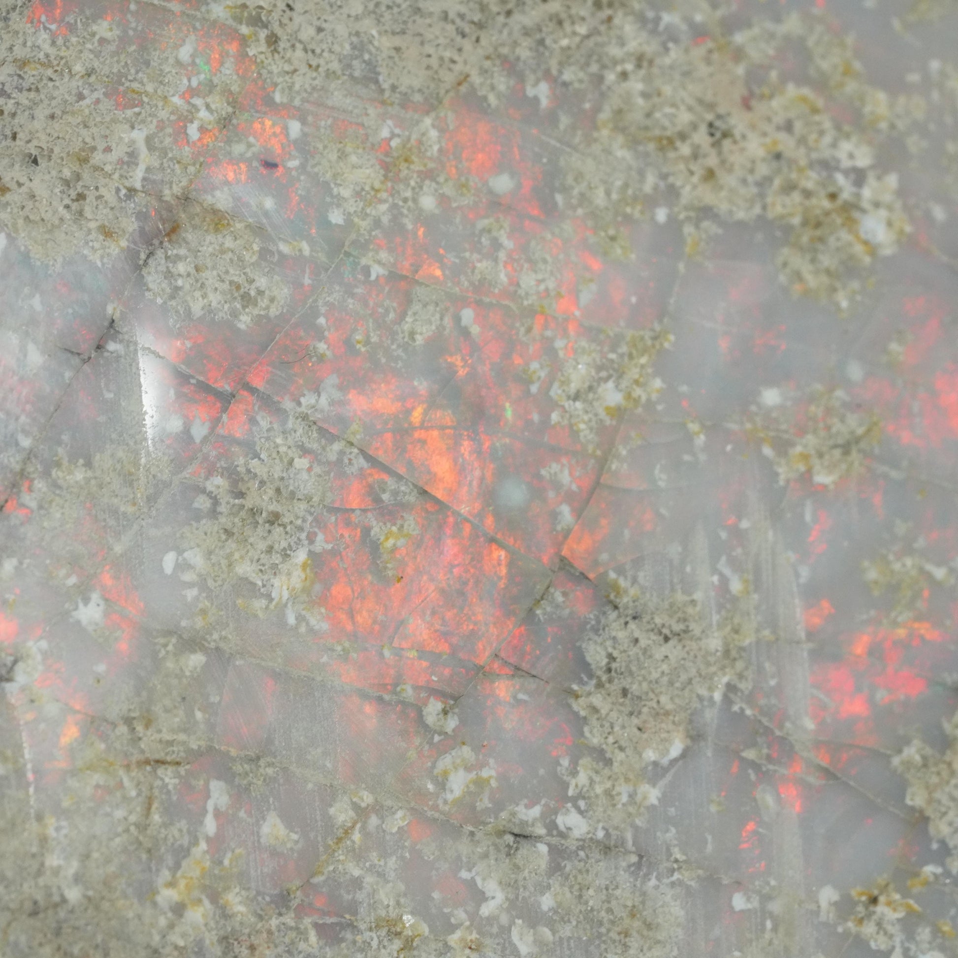 Opal Specimen
