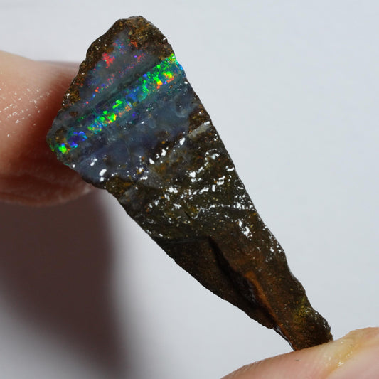 Rough Boulder Opal