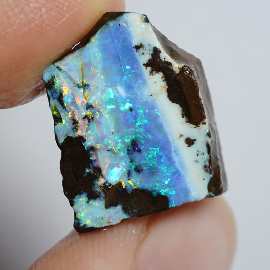 Rough Boulder Opal
