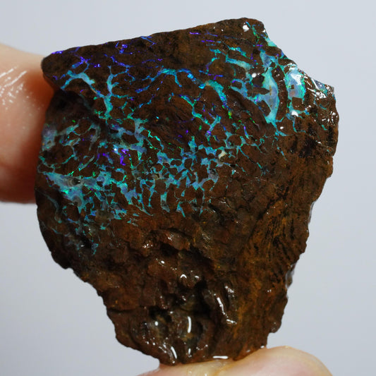 Rough Boulder Opal