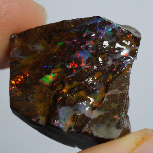 Rough Boulder Opal
