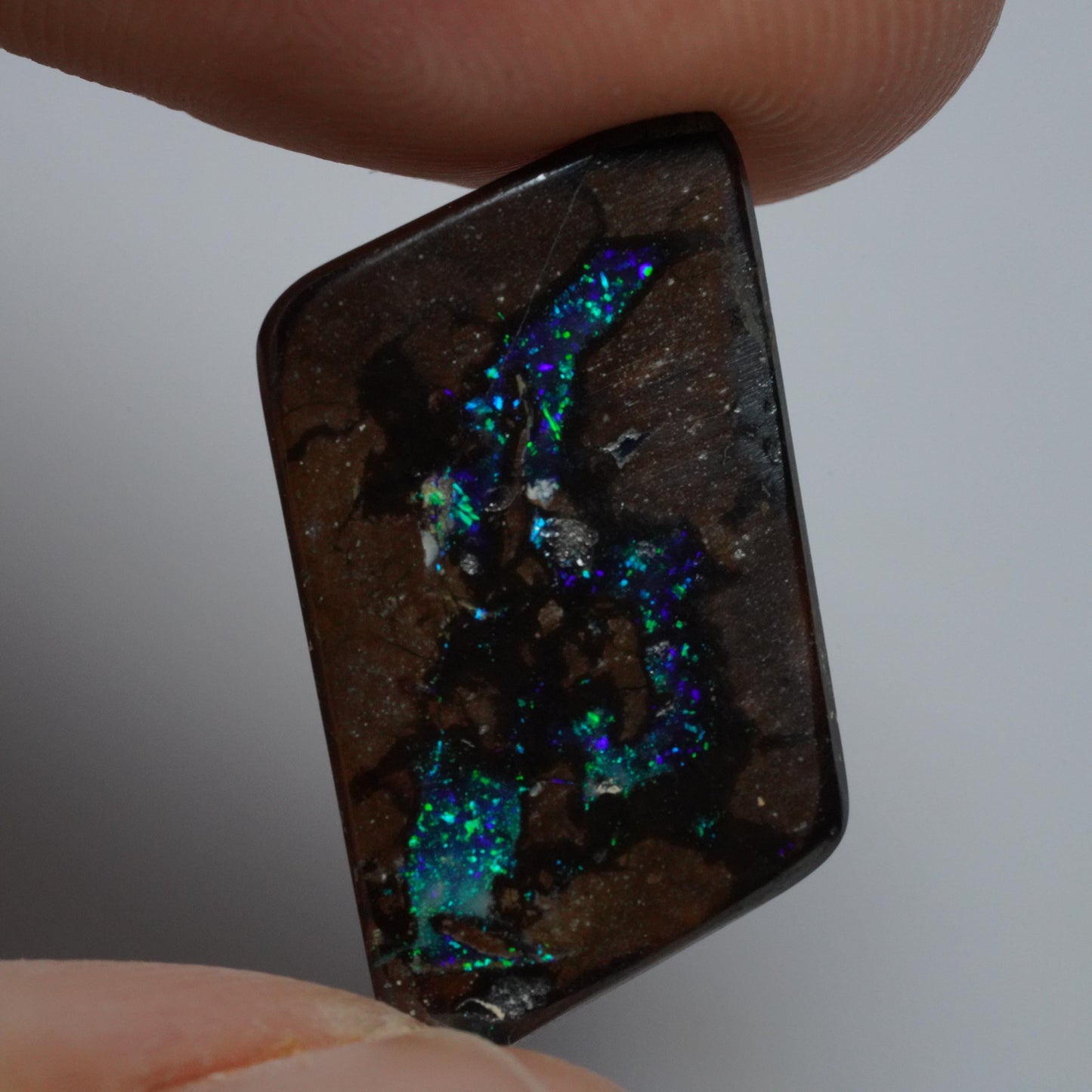 Boulder Opal Cut Stone