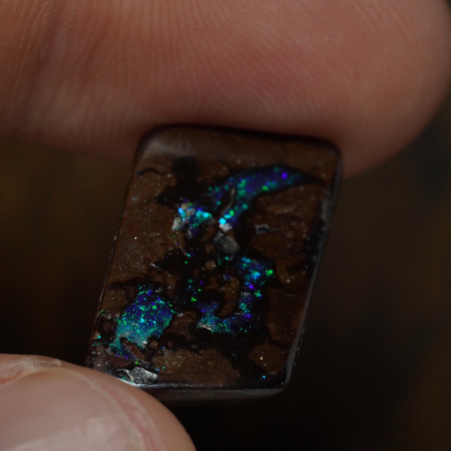 Boulder Opal Cut Stone