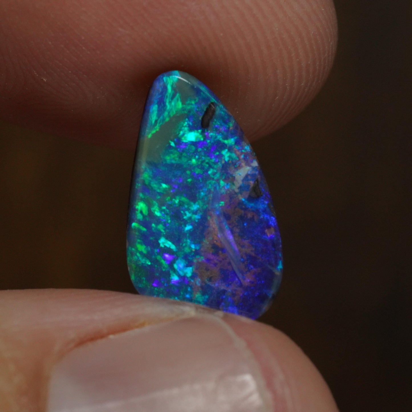 Boulder Opal Cut Stone