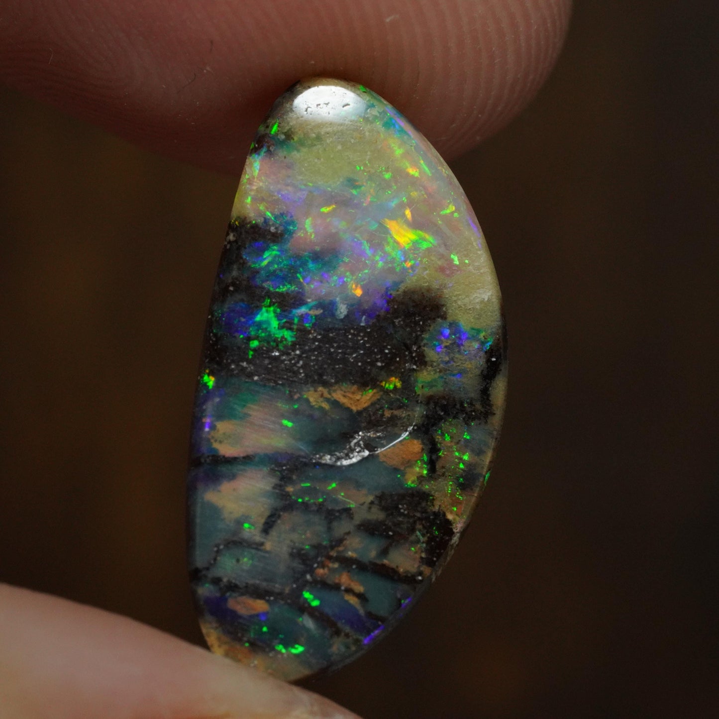Boulder Opal Cut Stone