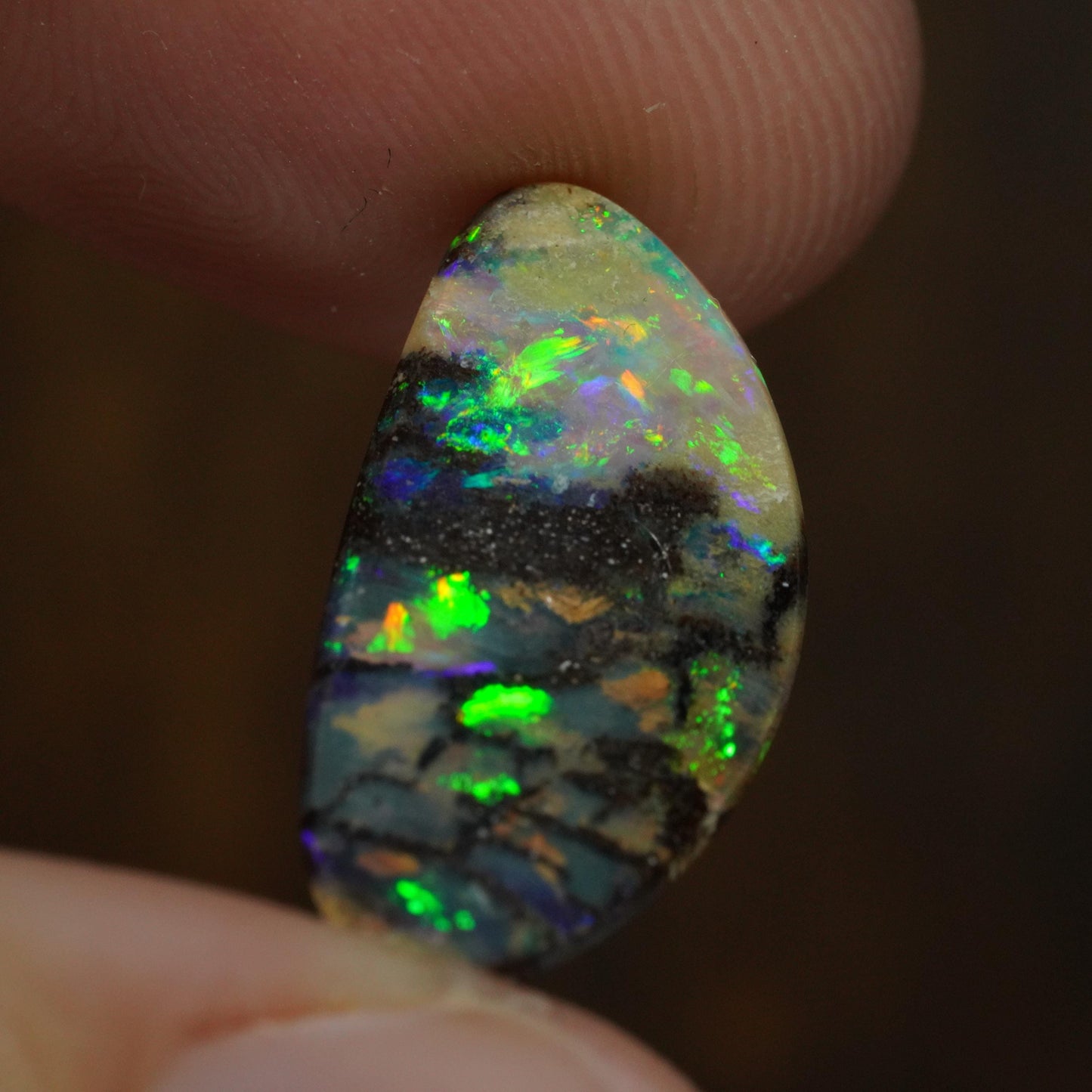 Boulder Opal Cut Stone