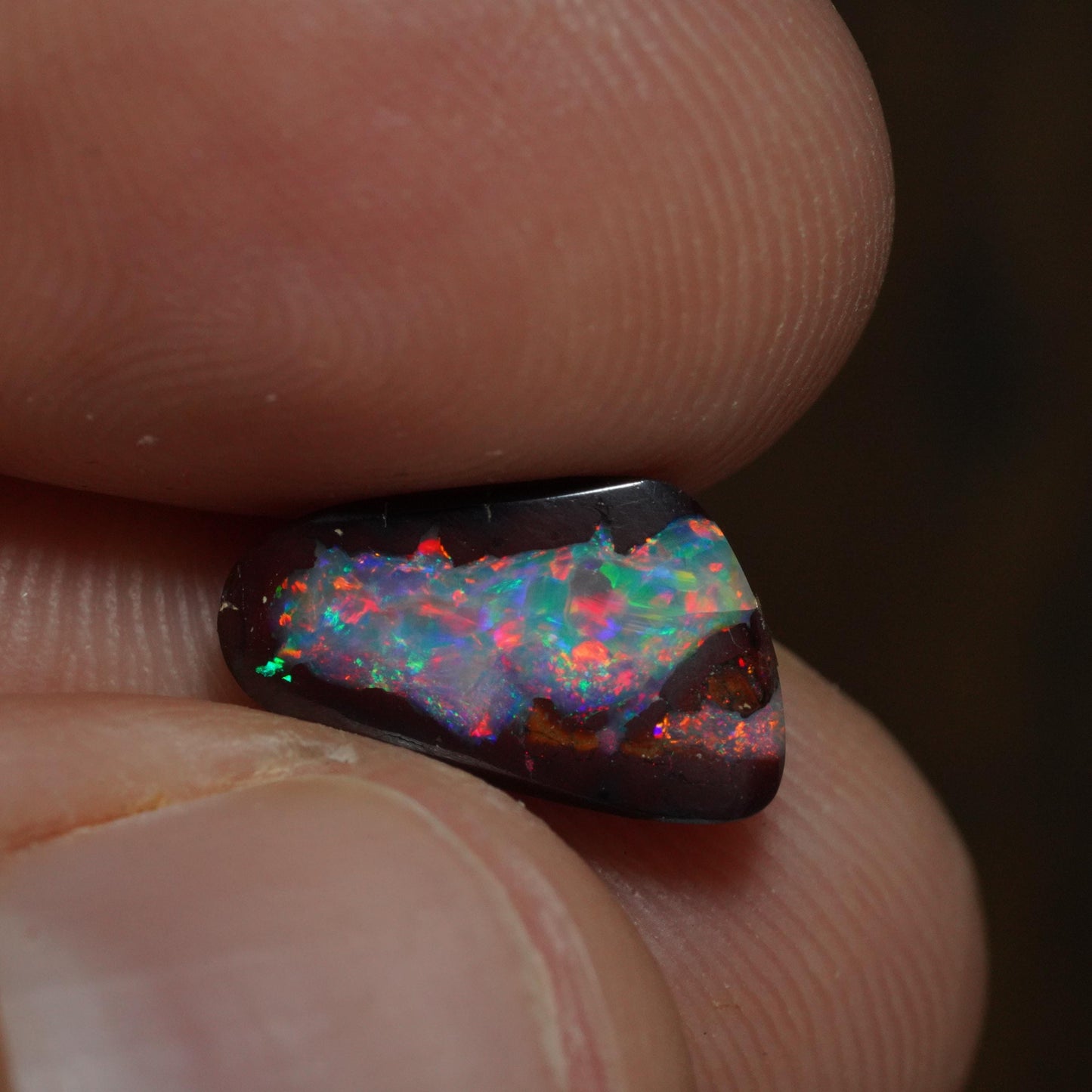 Boulder Opal Cut Stone