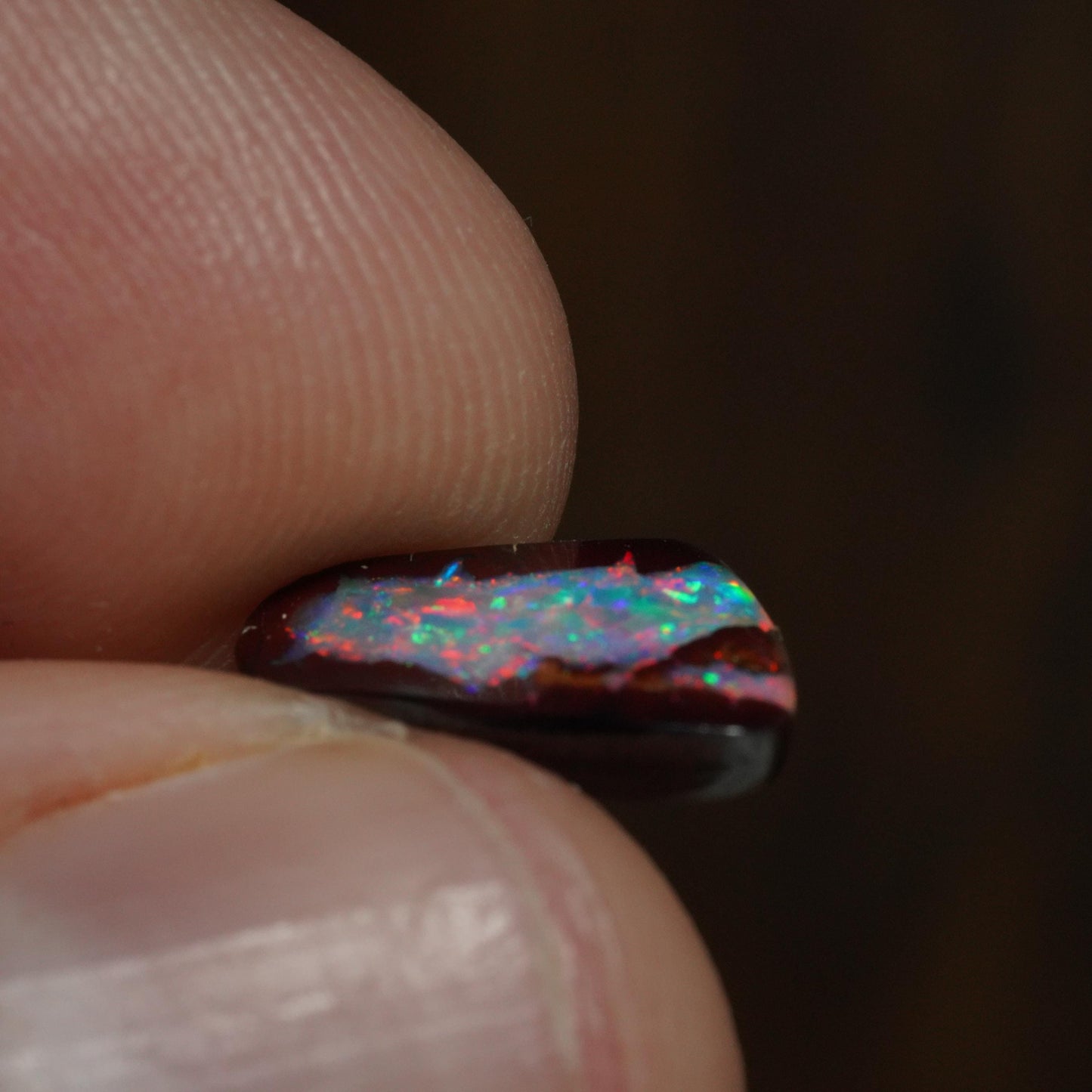 Boulder Opal Cut Stone
