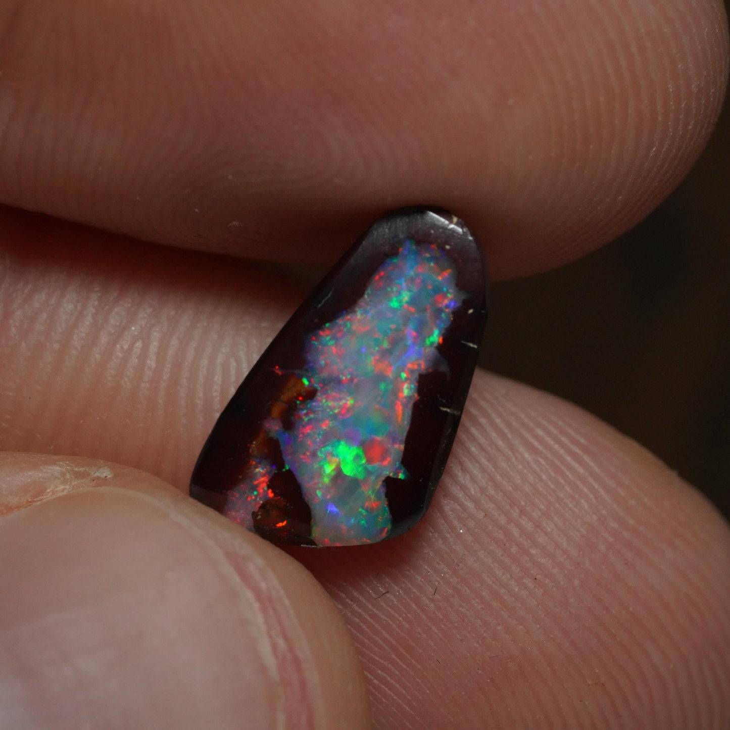 Boulder Opal Cut Stone