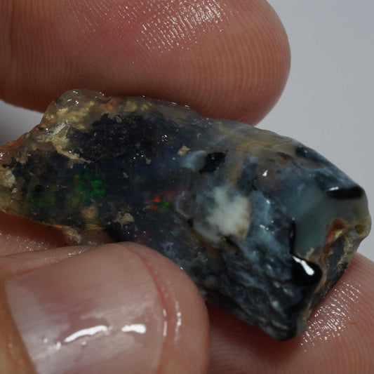 Opalised Fossil Plant Material