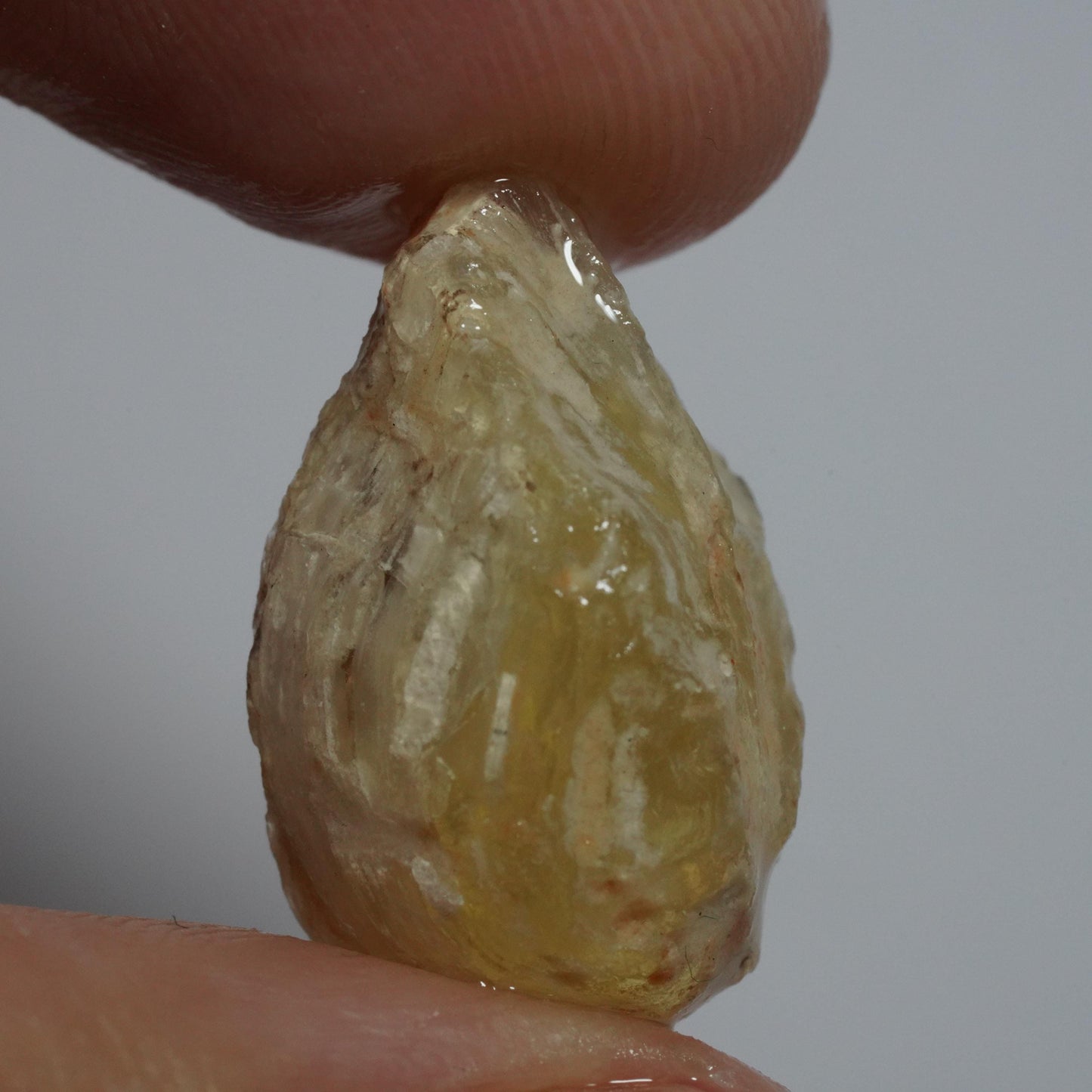 Opalised Fossil Mussel Shell