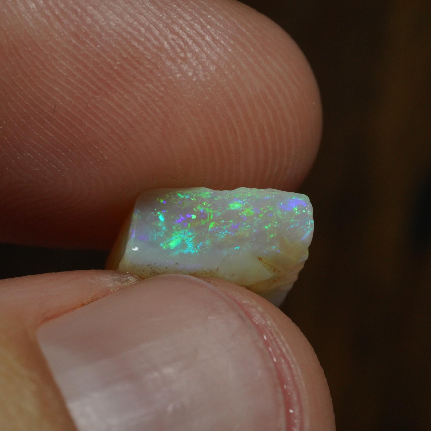 Australian Rough Opal