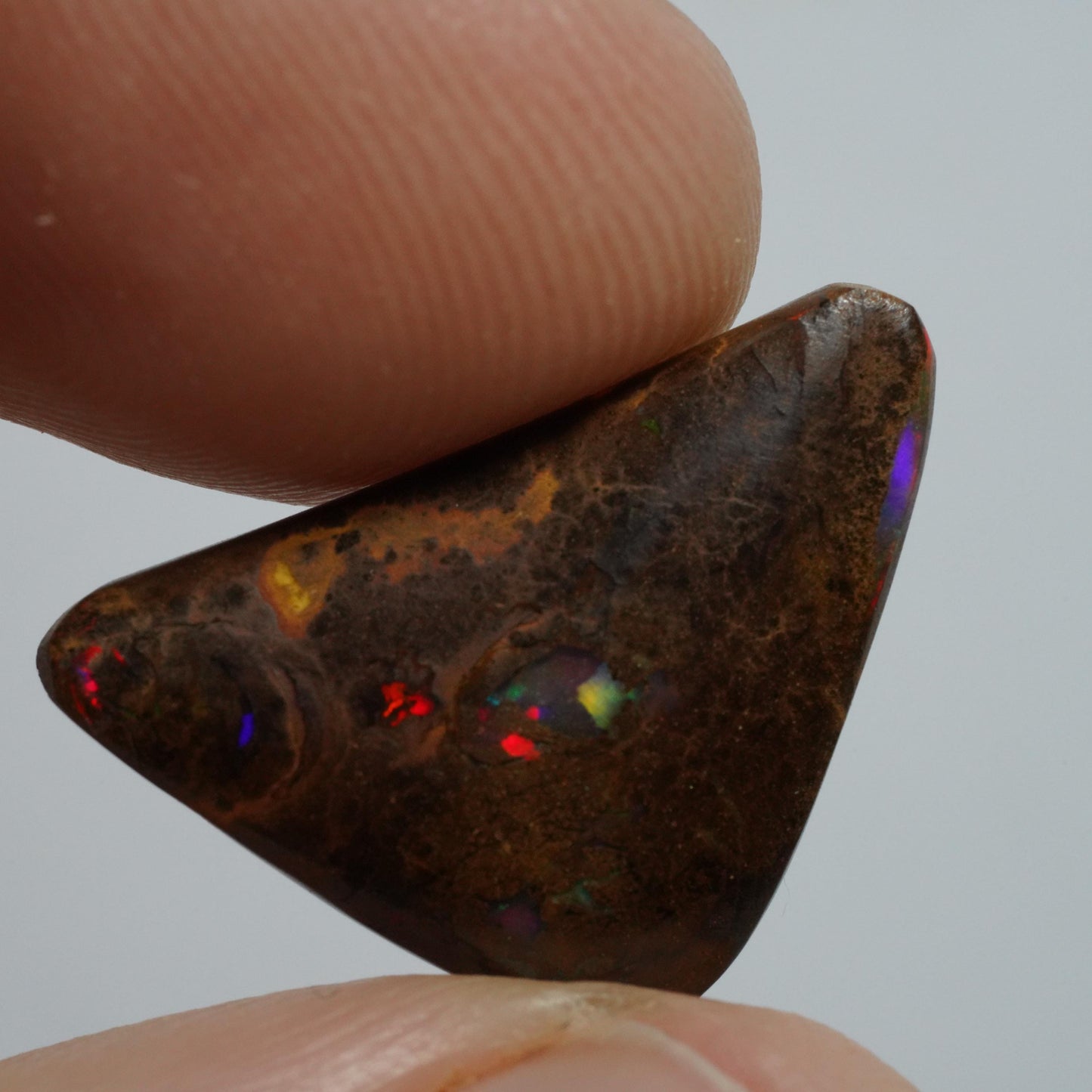 Boulder Opal Cut Stone