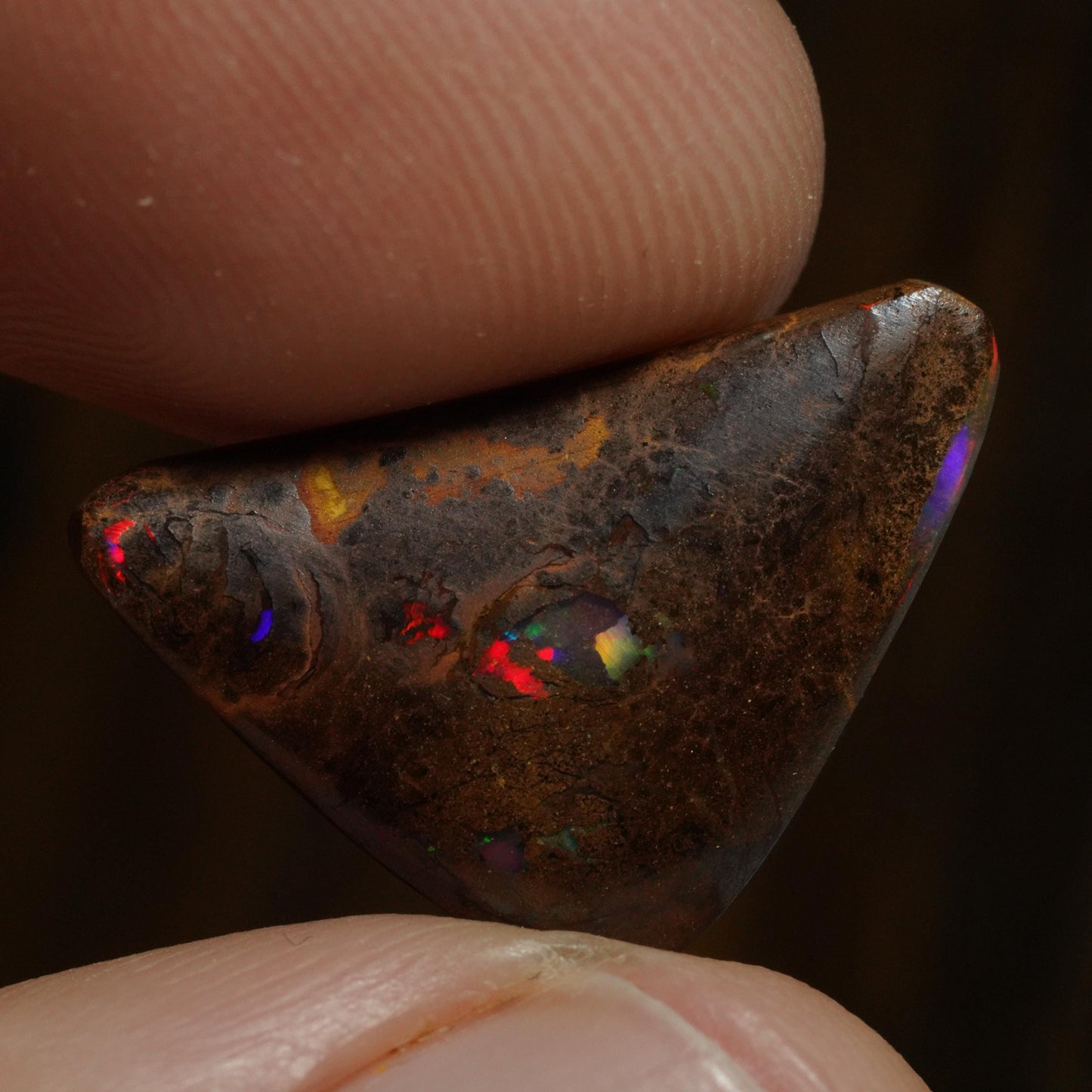 Boulder Opal Cut Stone