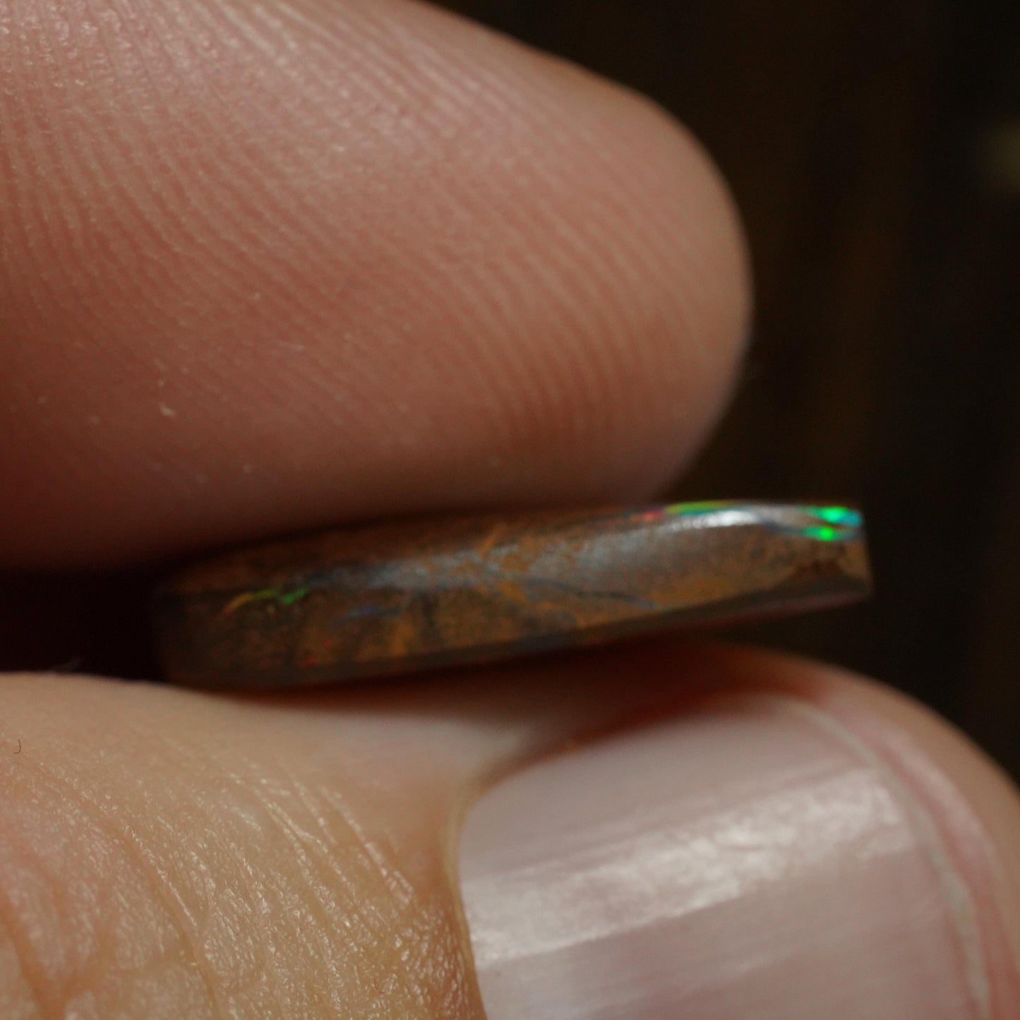Boulder Opal Cut Stone