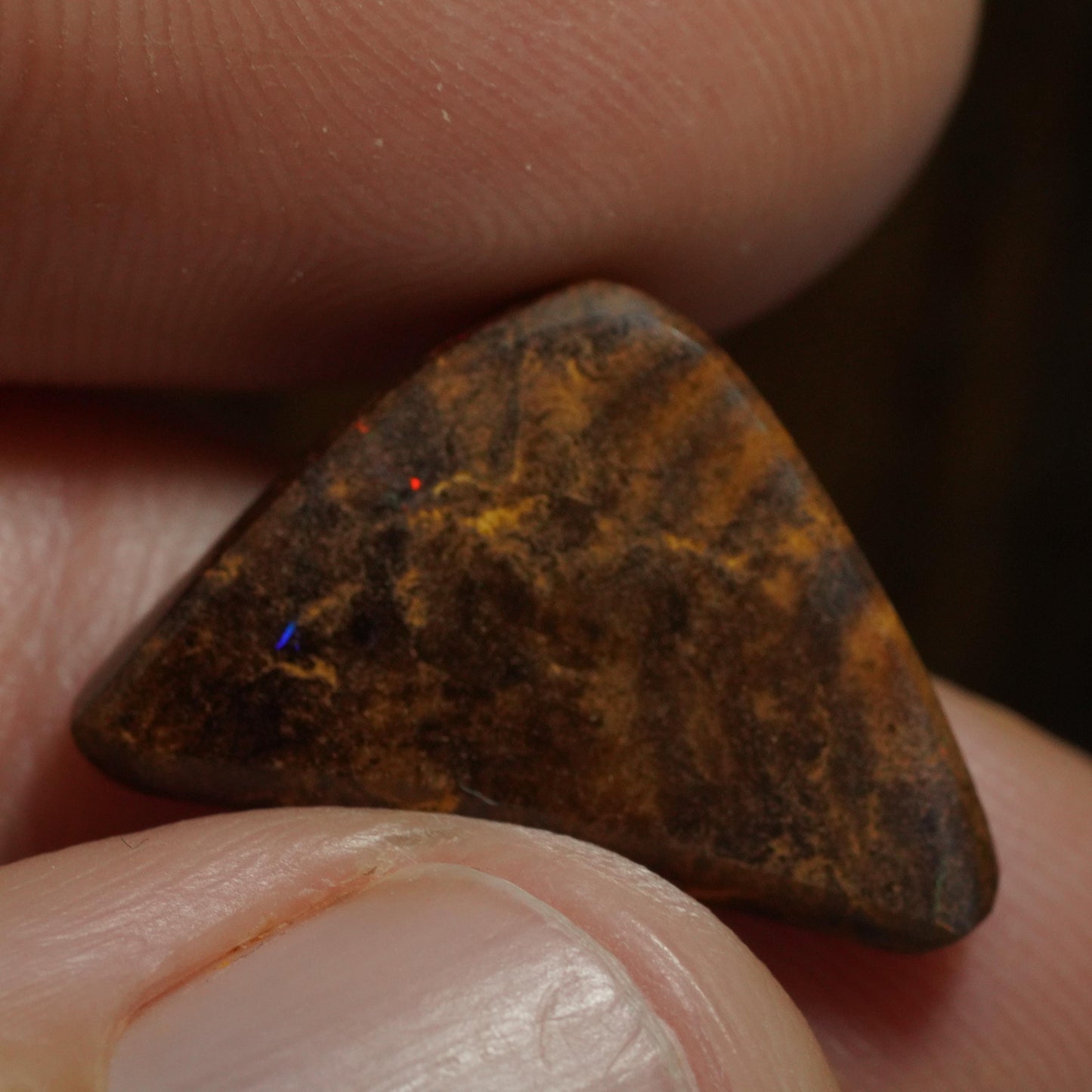 Boulder Opal Cut Stone