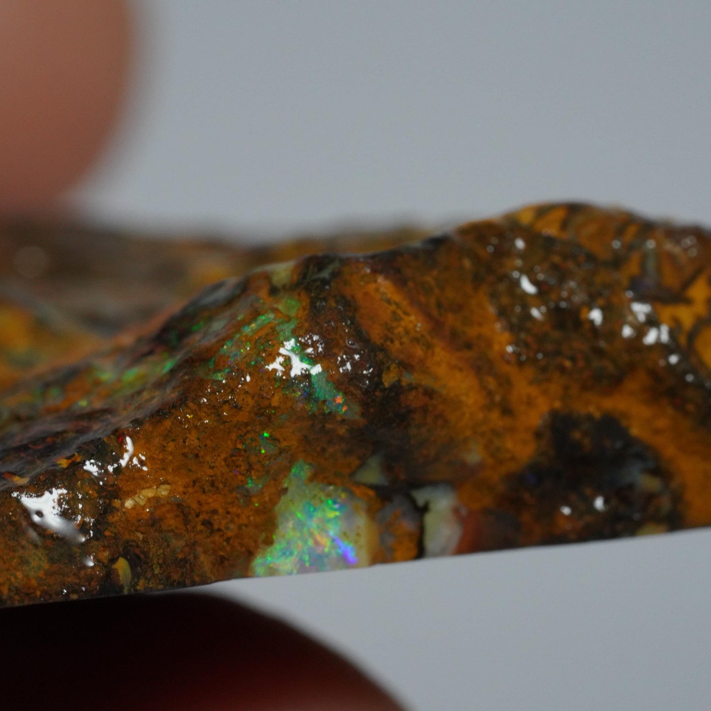 Rough Boulder Opal