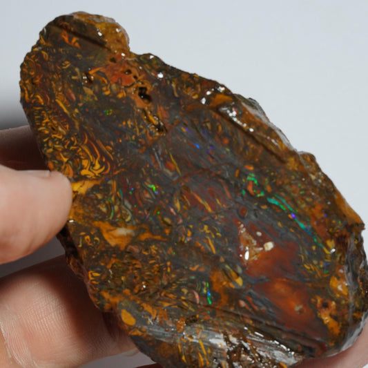 Rough Boulder Opal