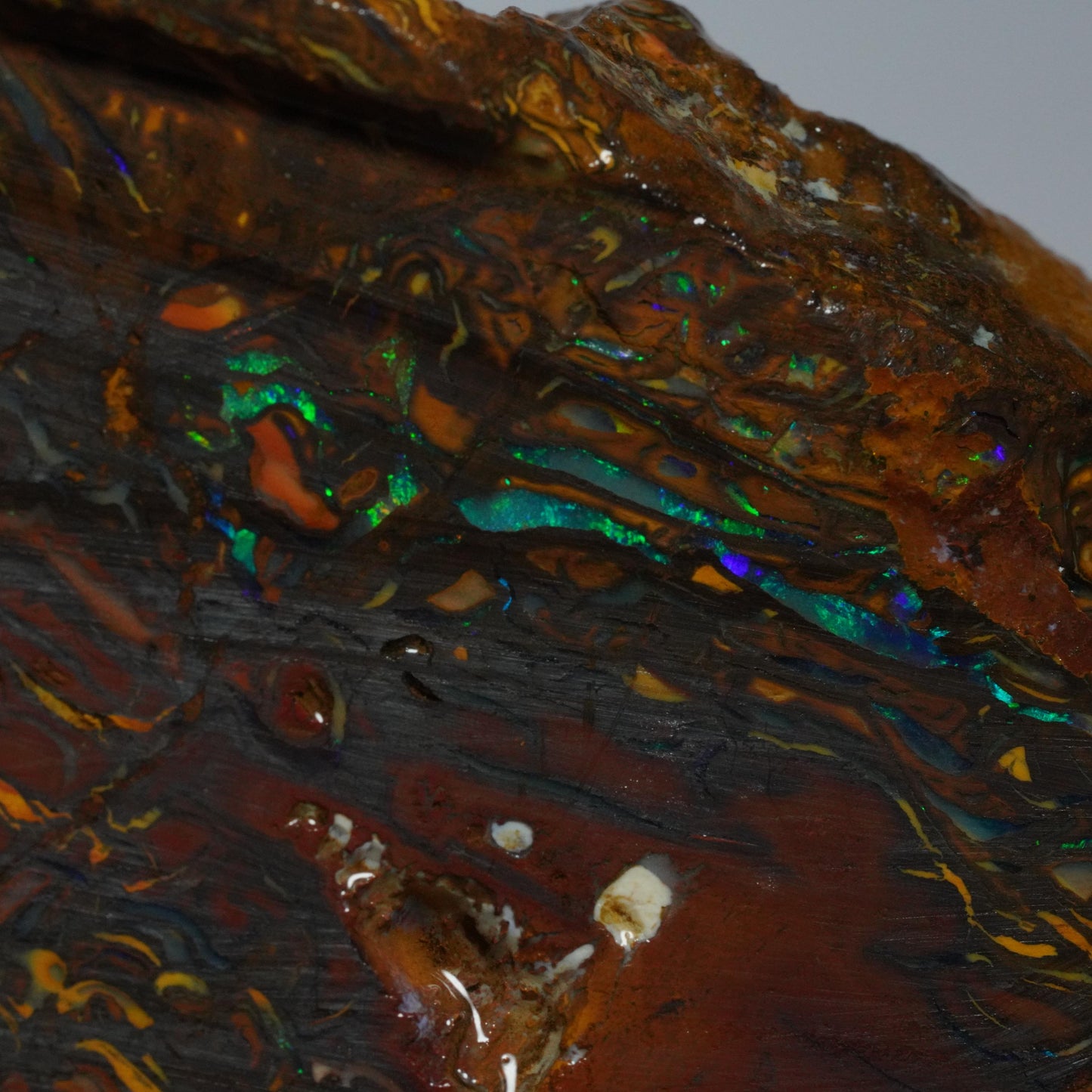 Rough Boulder Opal