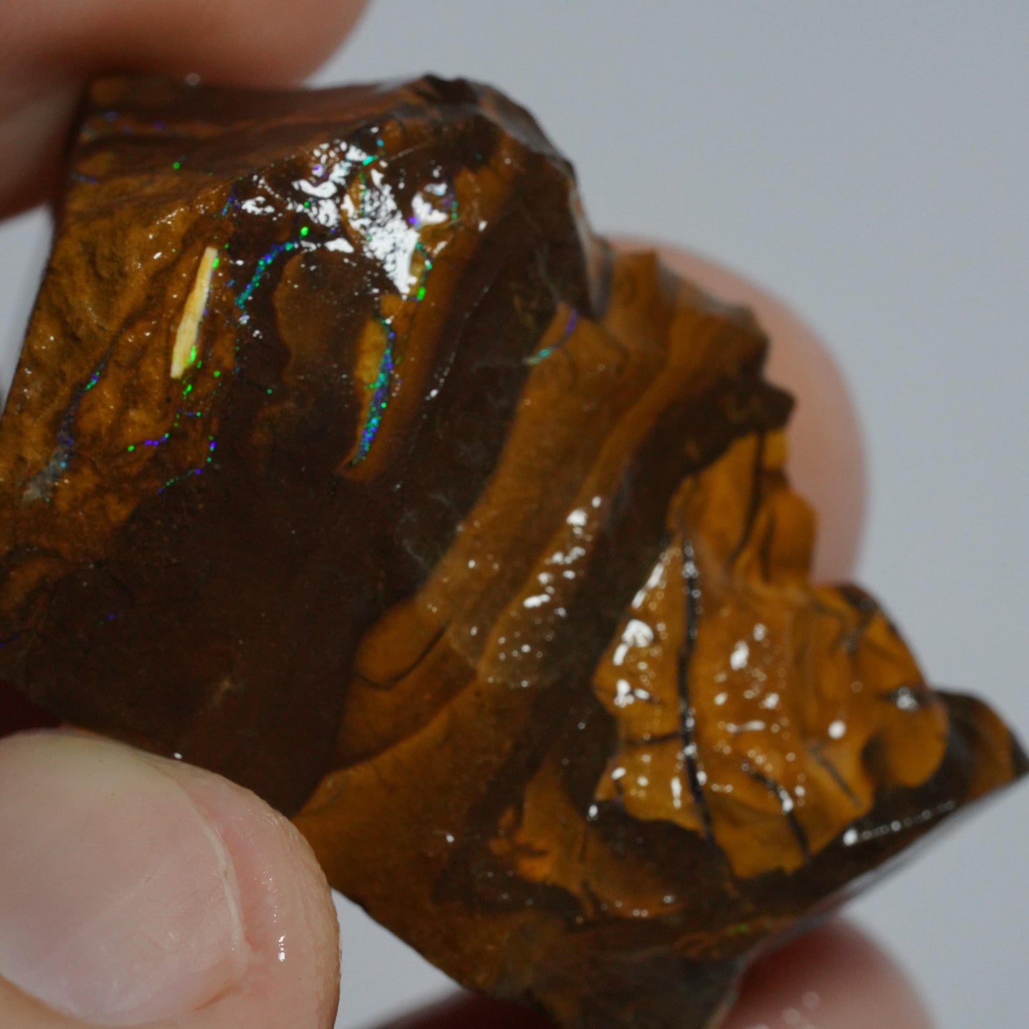 Rough Boulder Opal