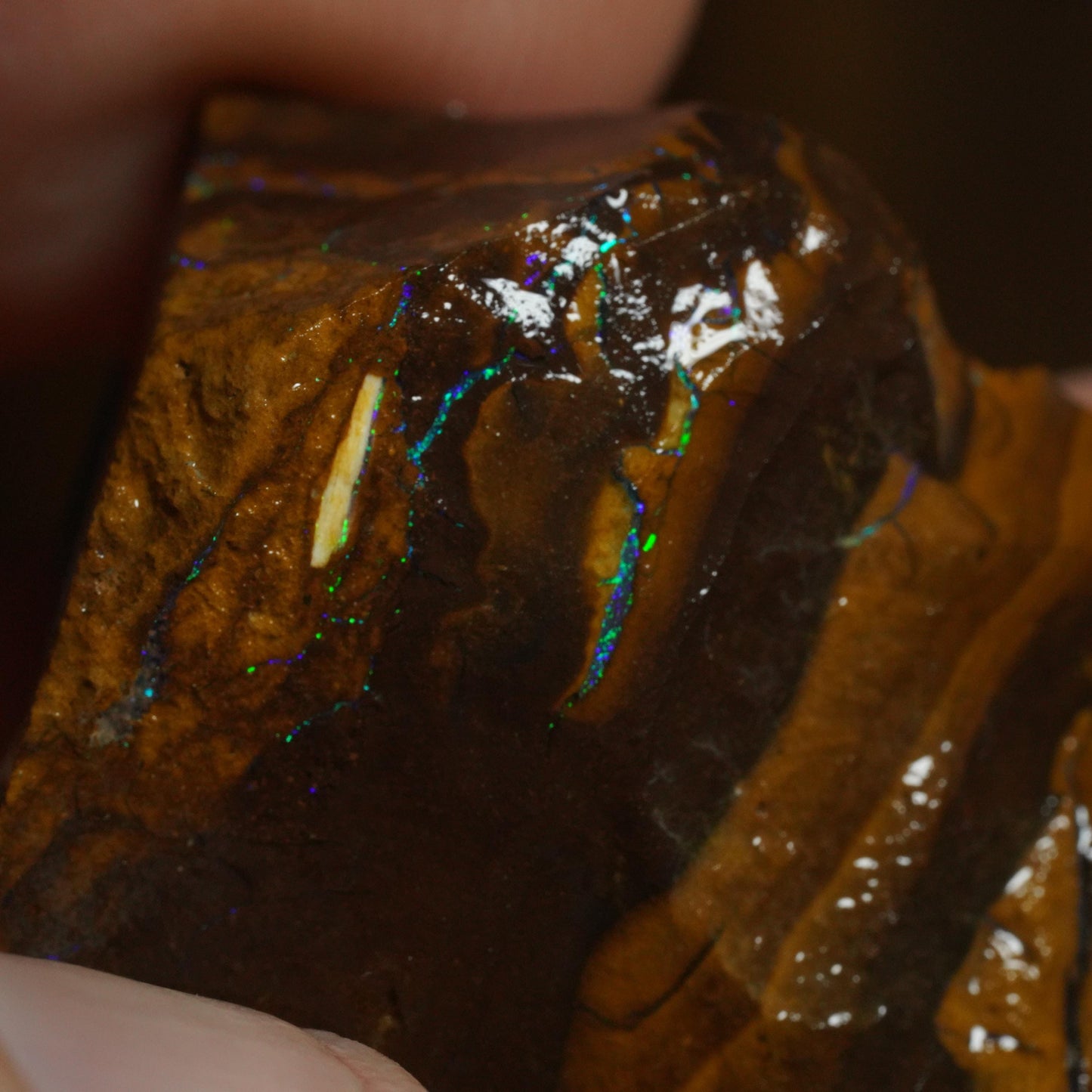 Rough Boulder Opal