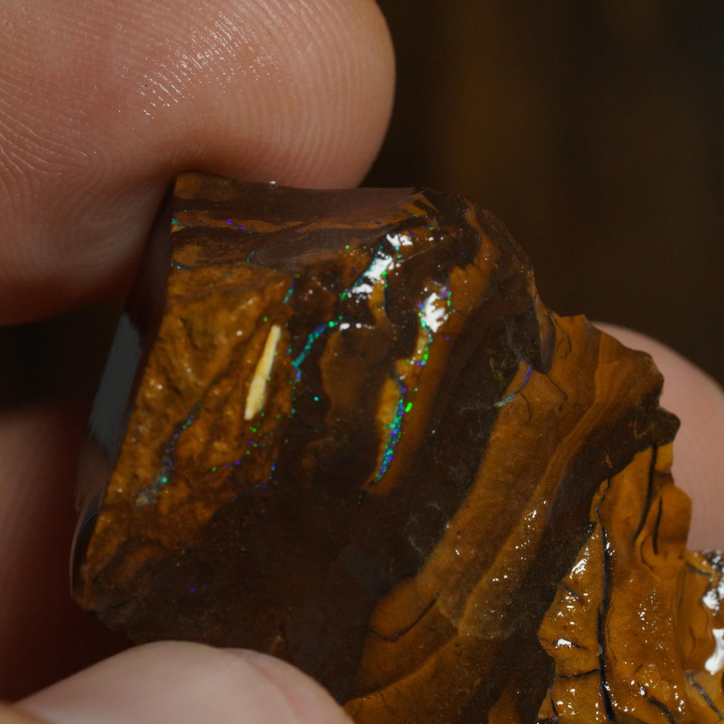 Rough Boulder Opal