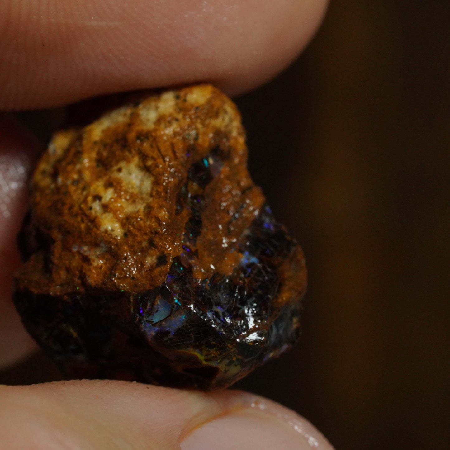 Rough Boulder Opal