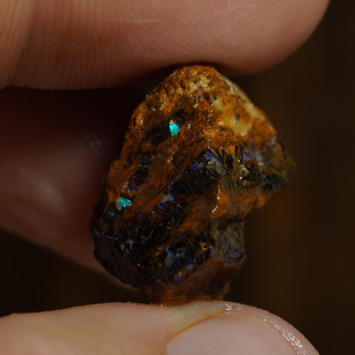Rough Boulder Opal