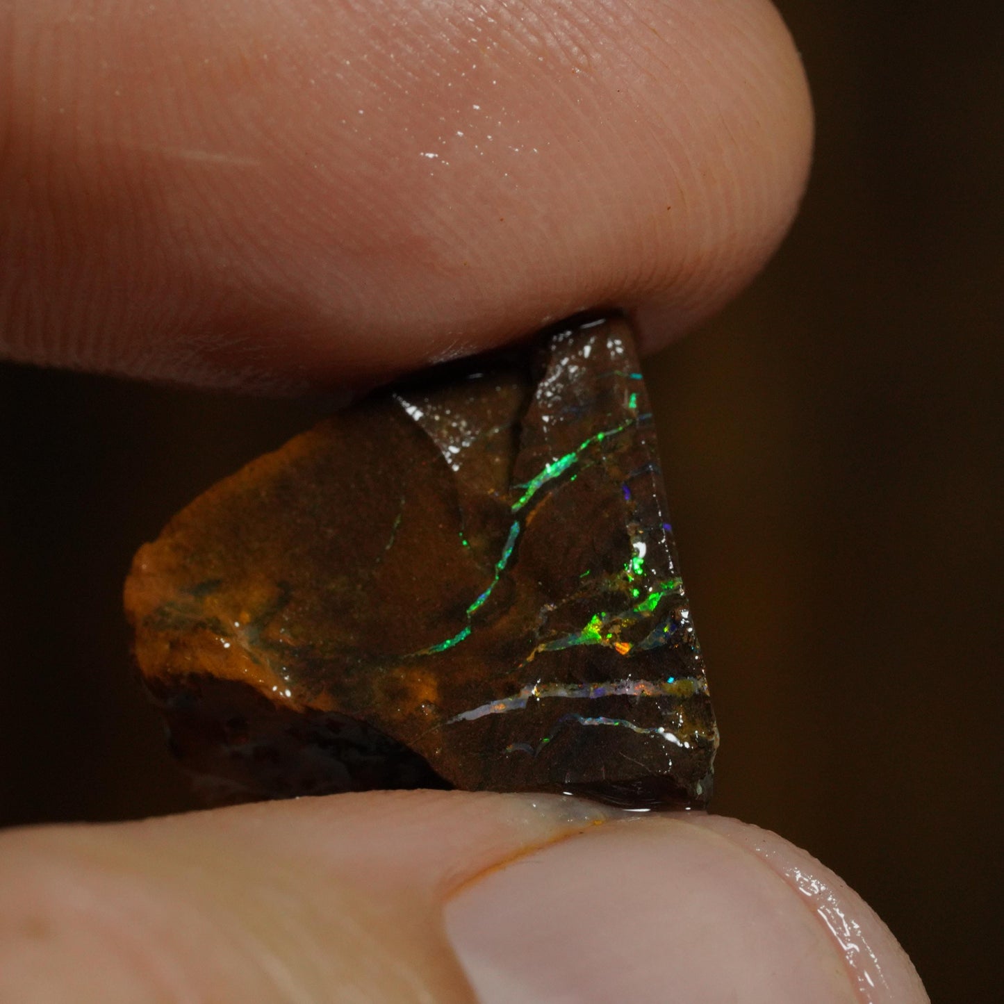 Rough Boulder Opal