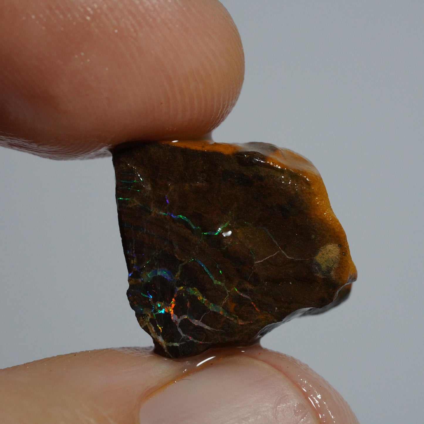 Rough Boulder Opal