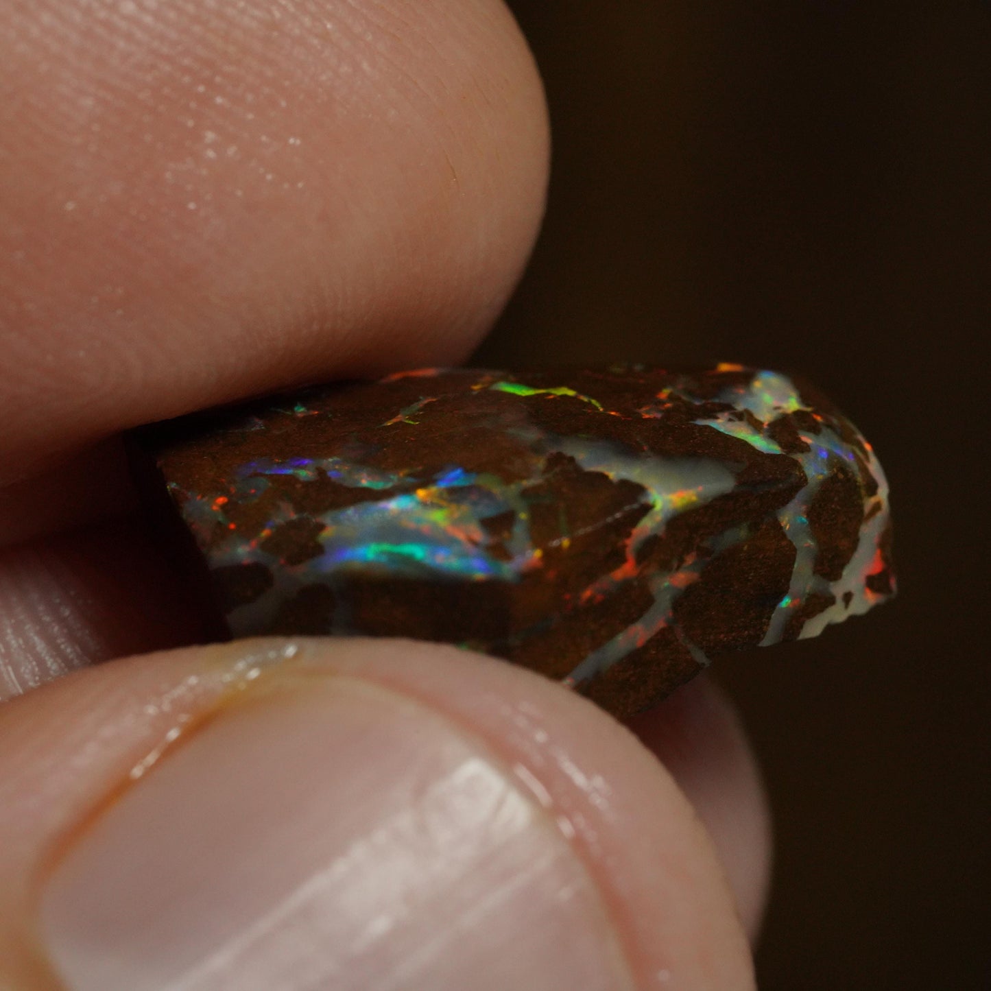 Boulder Opal