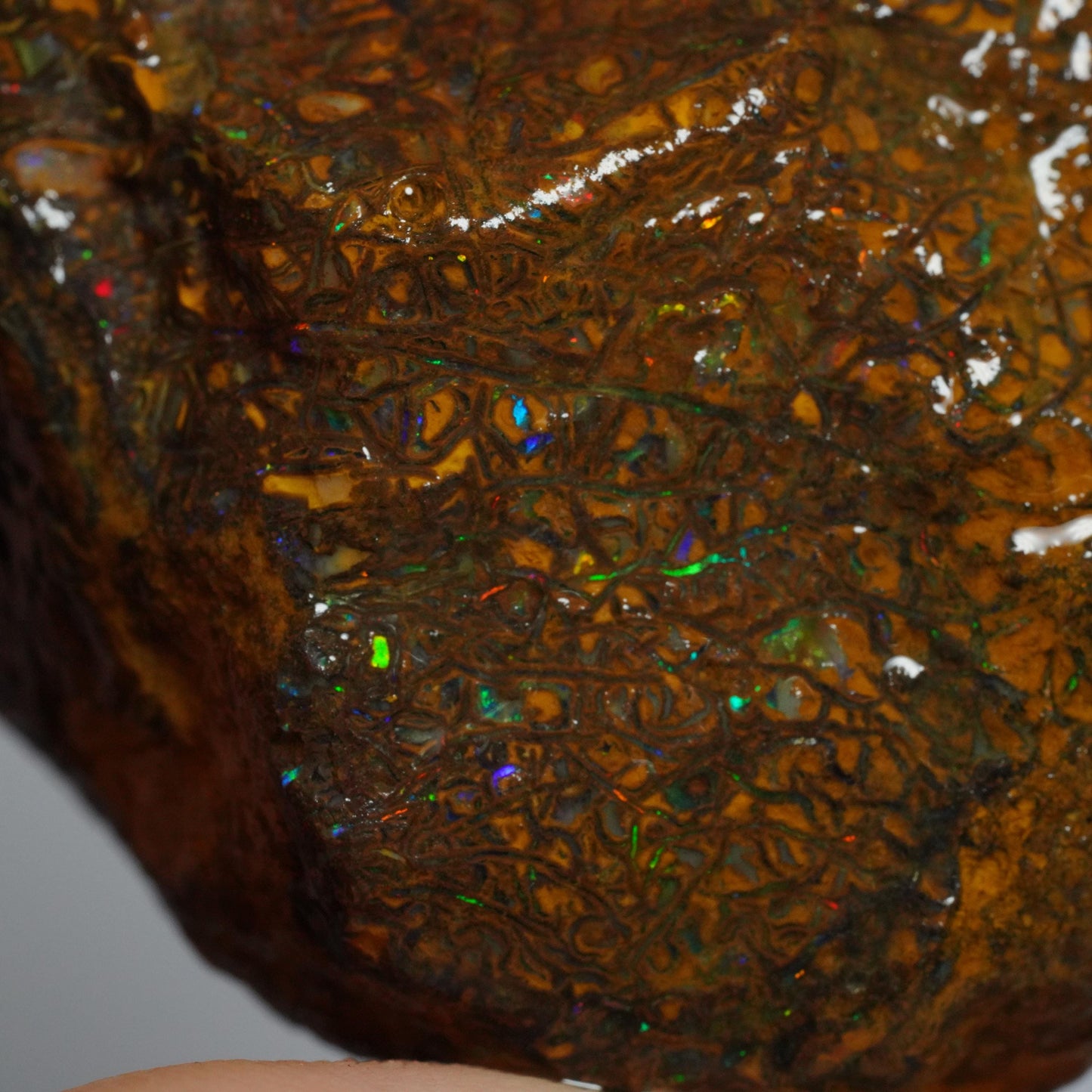Boulder Opal