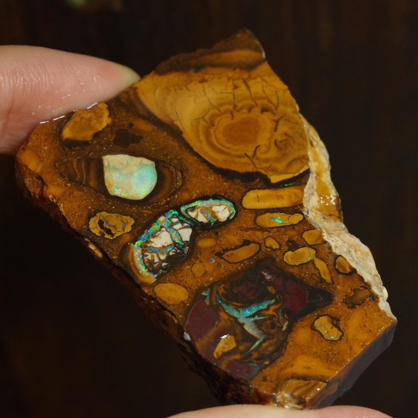 Boulder Opal Slab