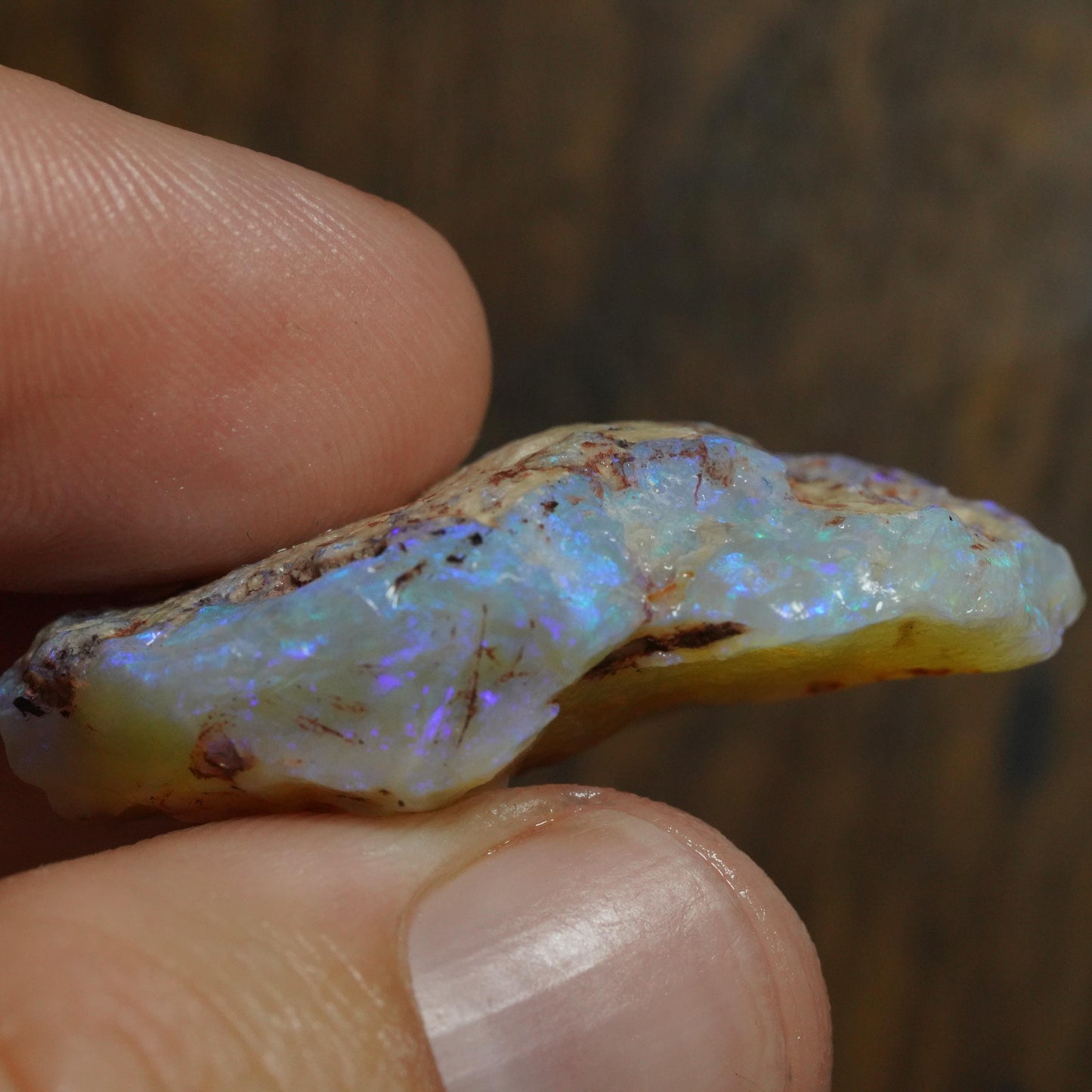 Australian Rough Opal
