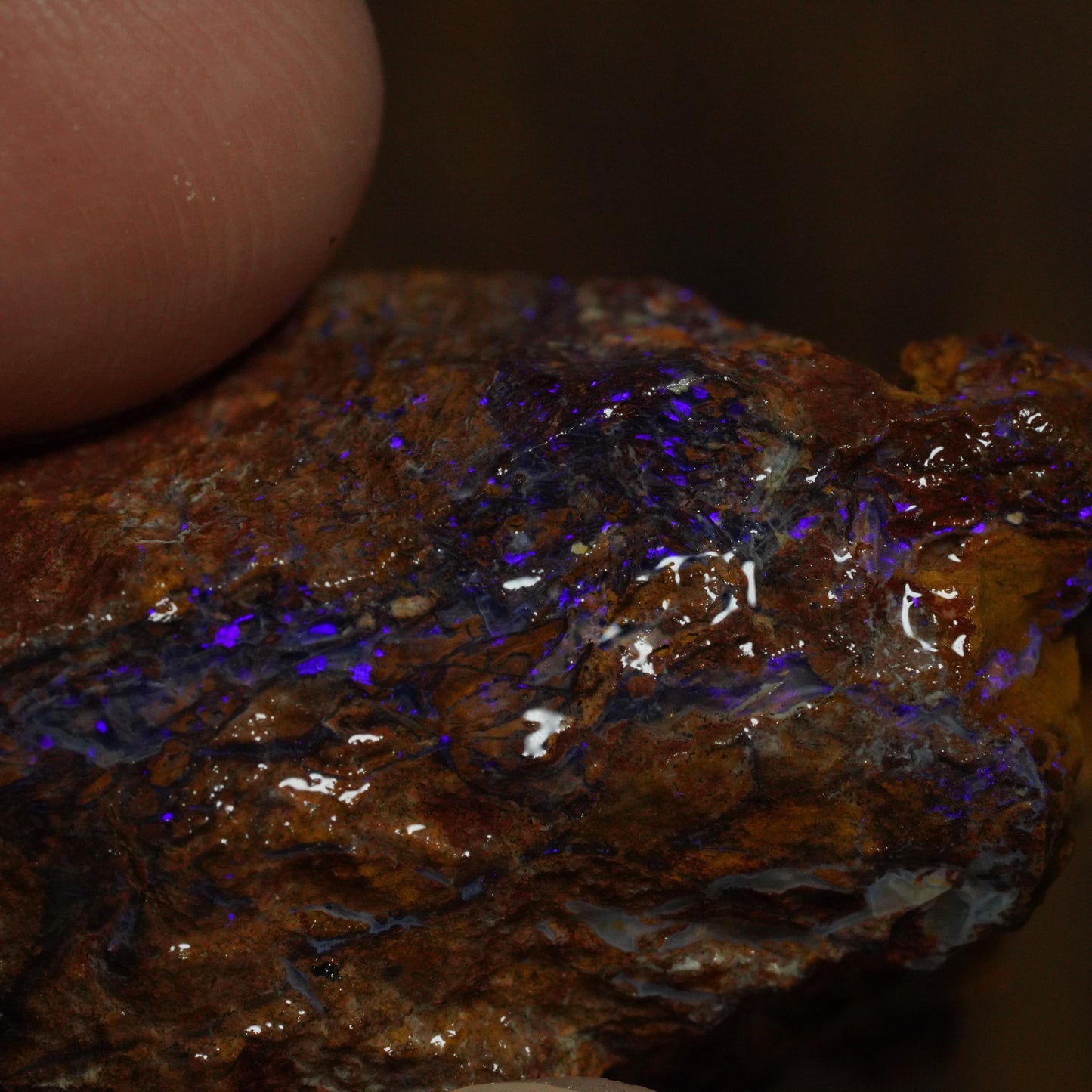Boulder Opal