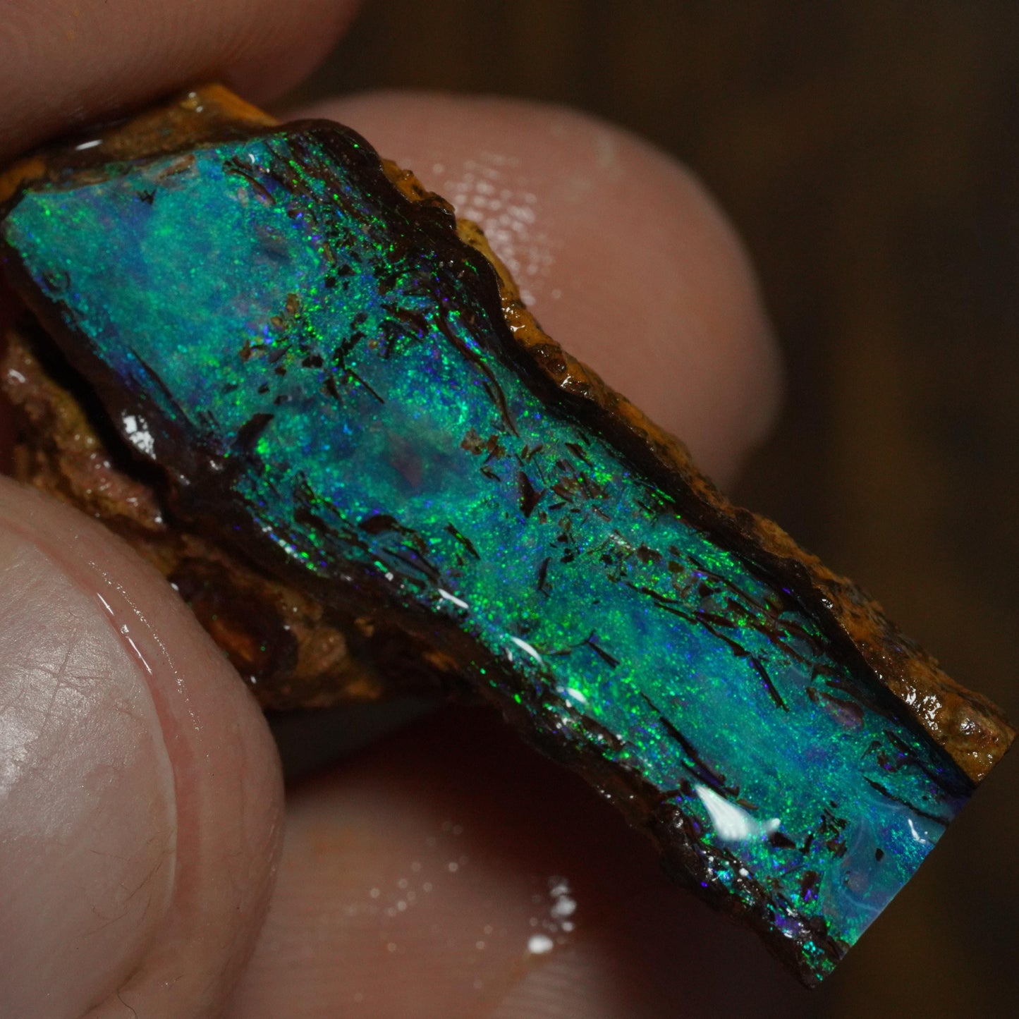 Boulder Opal