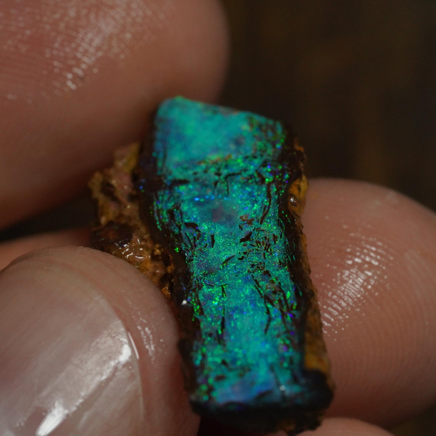 Boulder Opal