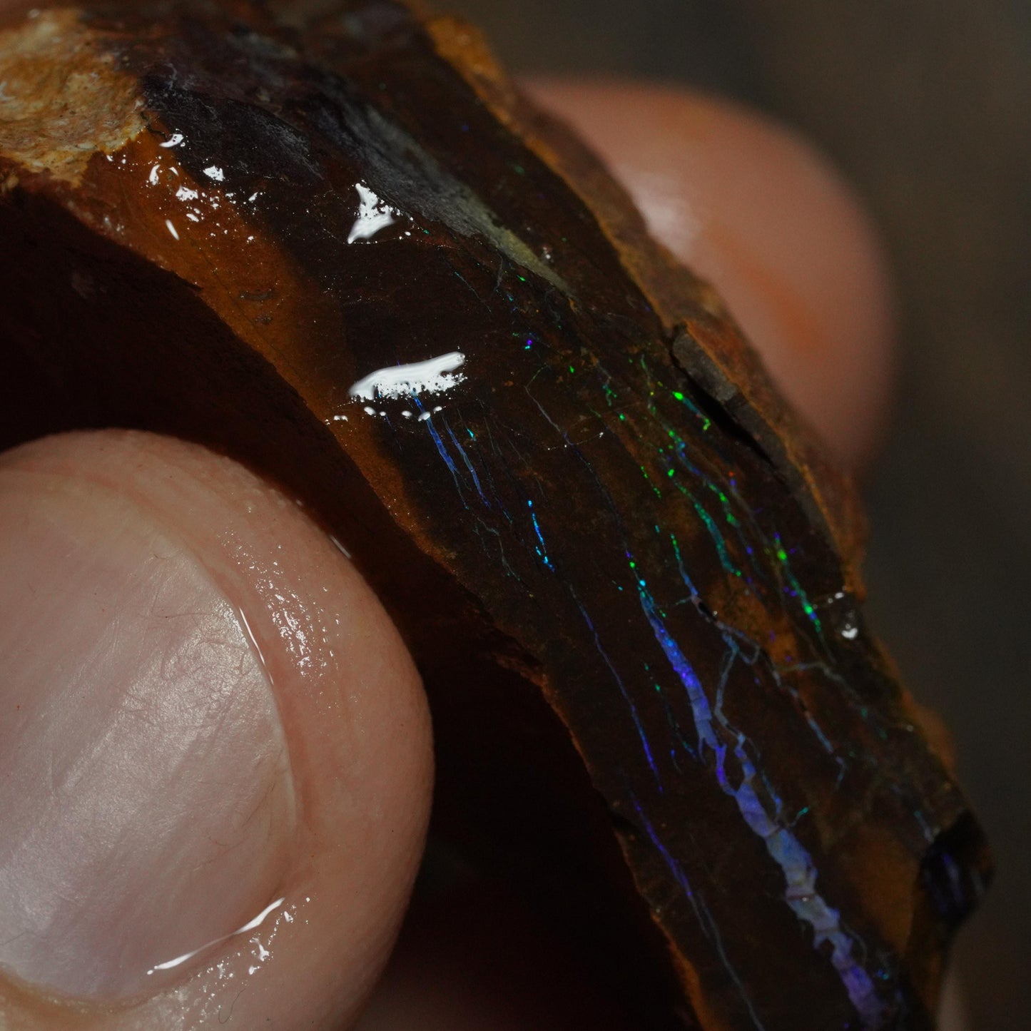 Boulder Opal