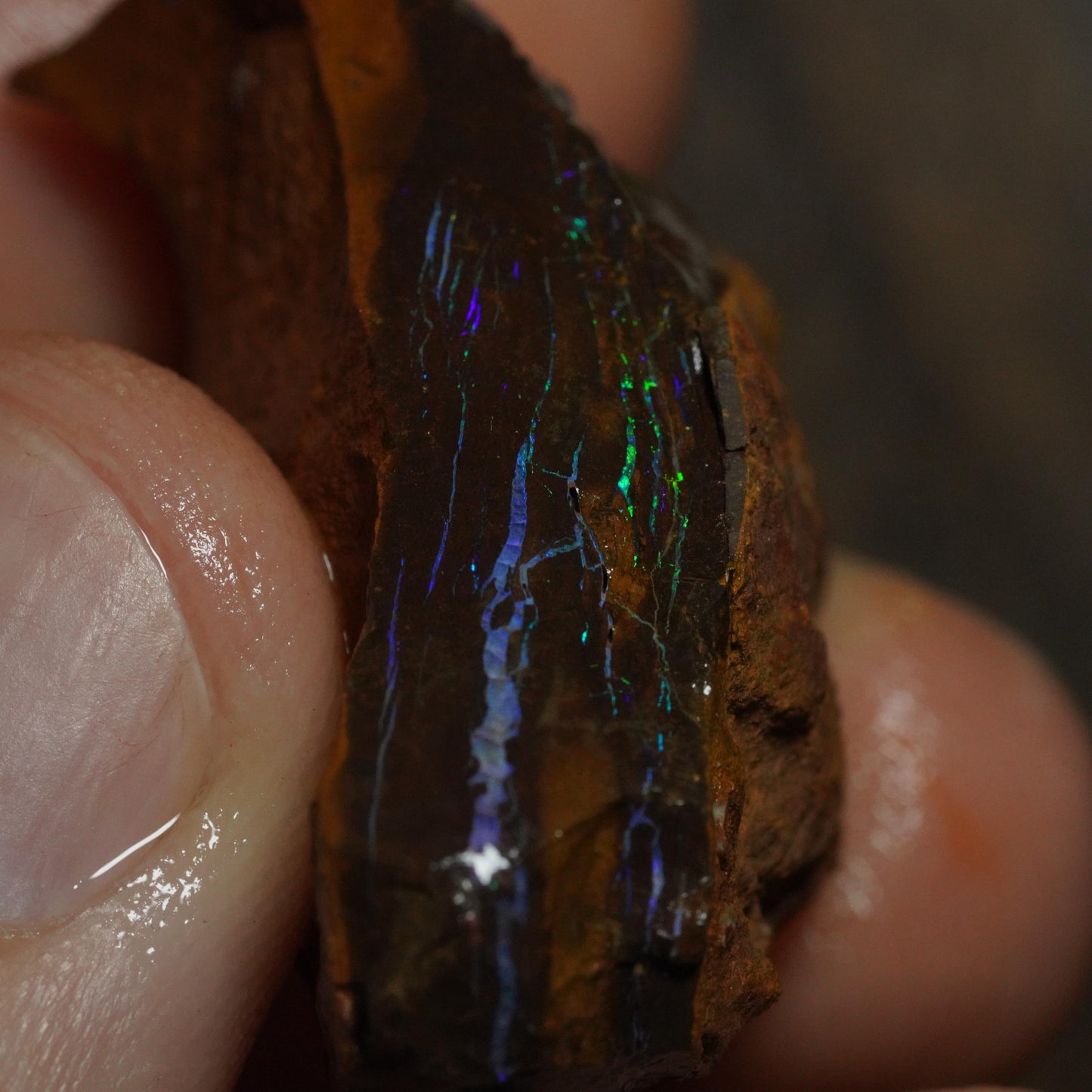 Boulder Opal