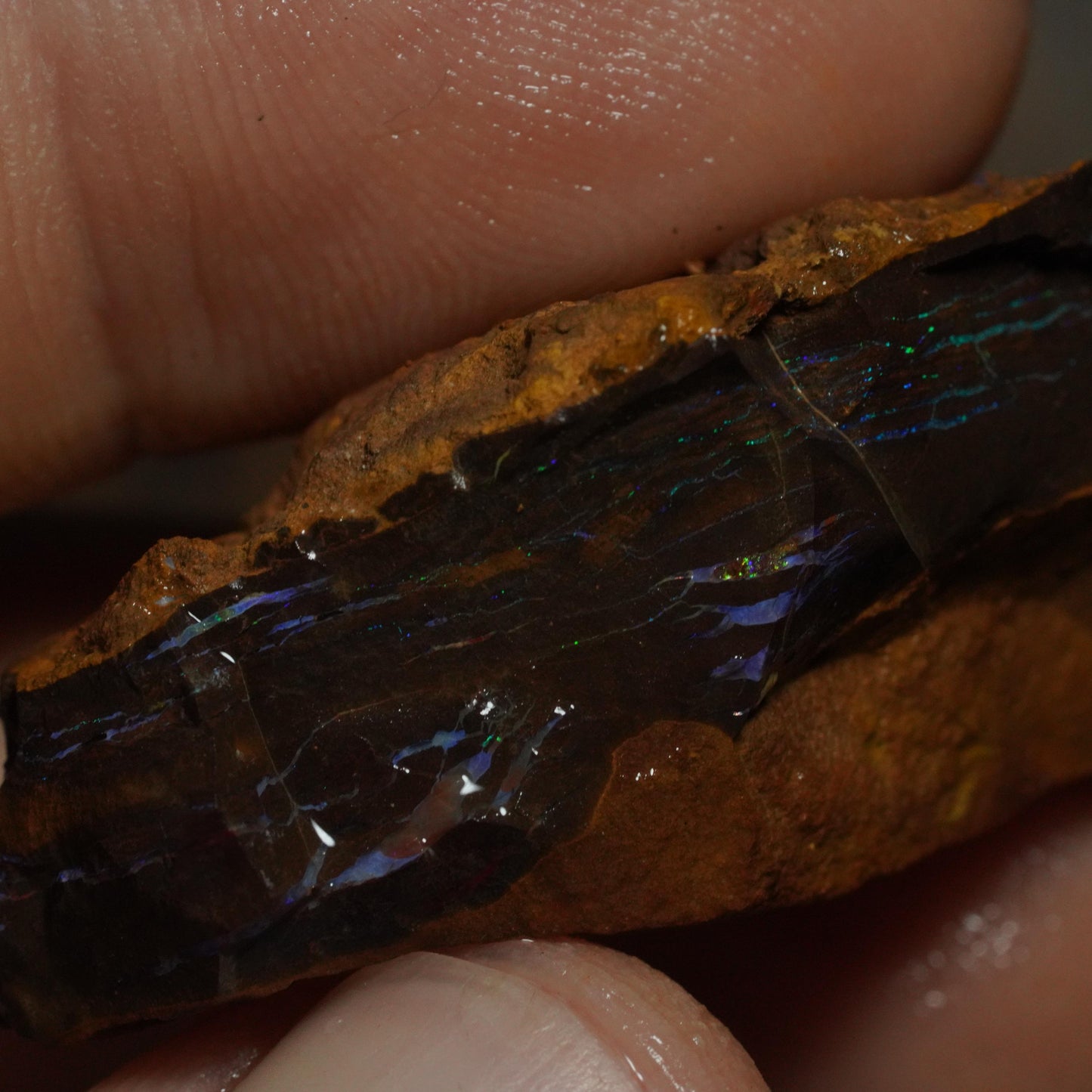 Boulder Opal