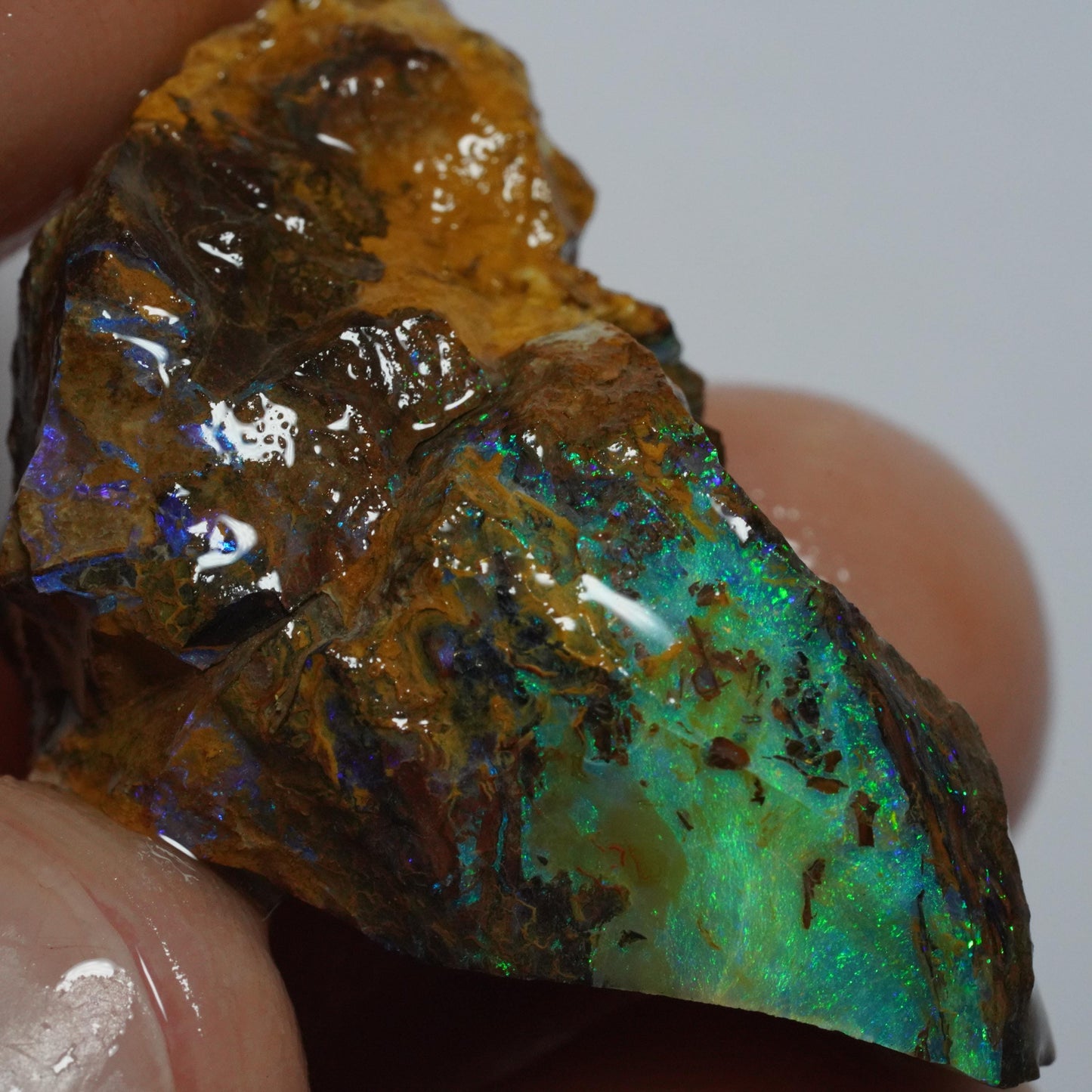 Boulder Opal