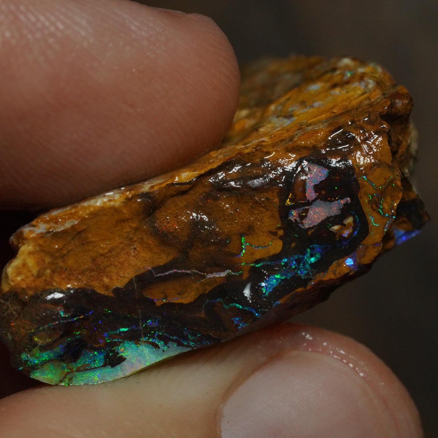Boulder Opal