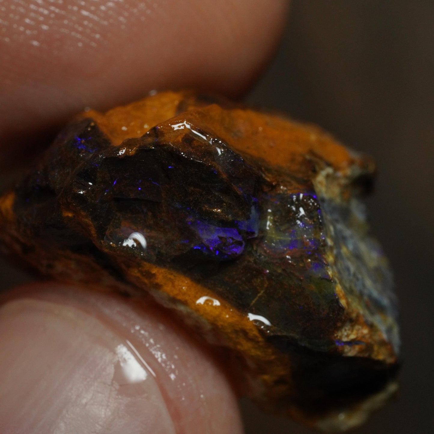 Boulder Opal
