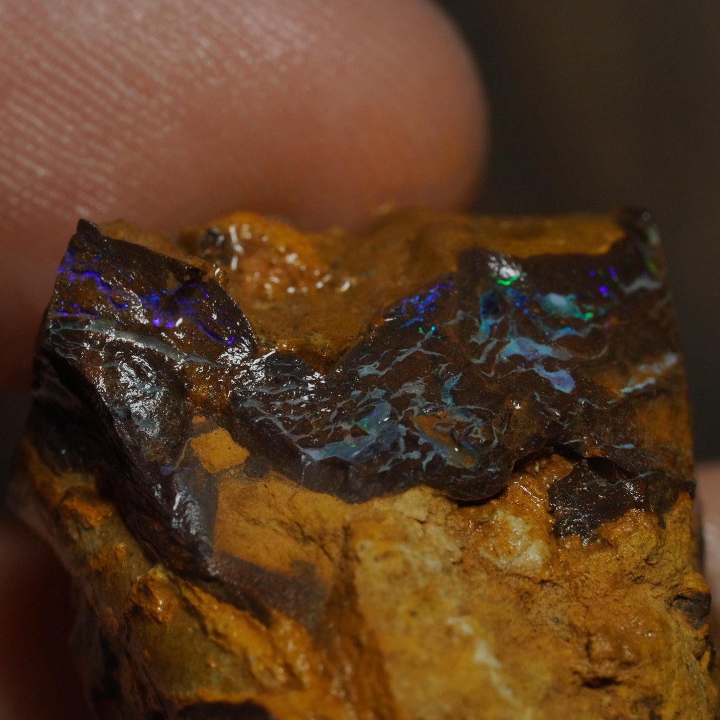 Boulder Opal